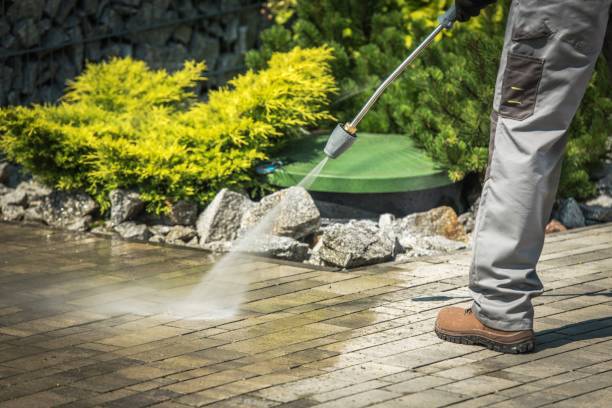 Best Solar Panel Cleaning  in Brownsville, PA
